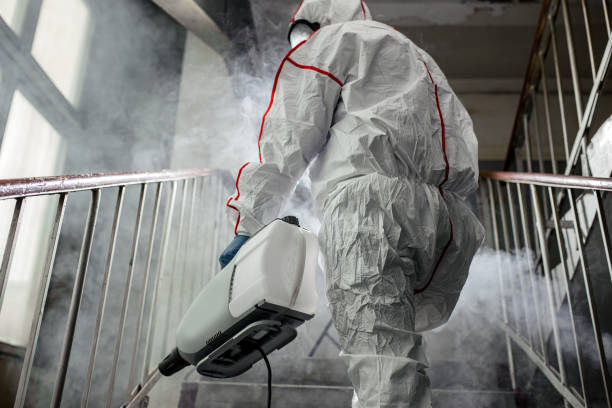 Asbestos and Lead Testing During Mold Inspection